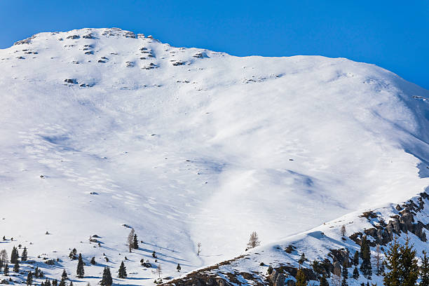 istock Spring at the Altopiano del Montasio 2212197745