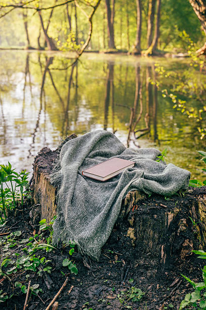 Peaceful reading spot by the pond