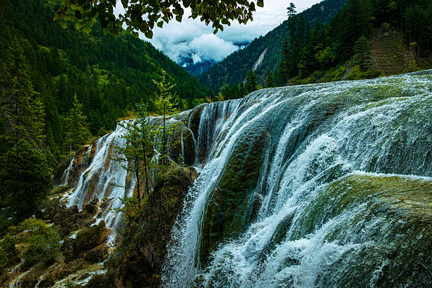 A waterfall cascades down amidst lush green forests, with clear water flowing beautifully, creating a stunning natural landscape