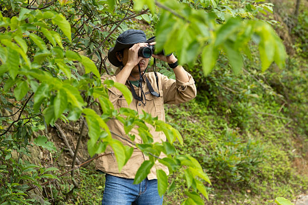 istock Man watching birds using binoculars on top of mountain 2212198900