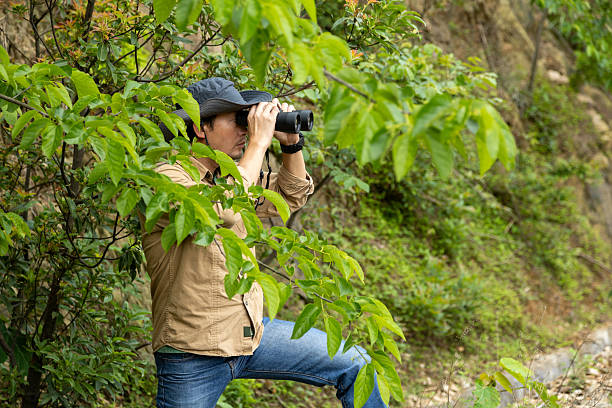 istock Man watching birds using binoculars on top of mountain 2212198907