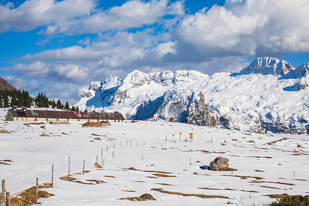 istock Spring at the Altopiano del Montasio 2212199085