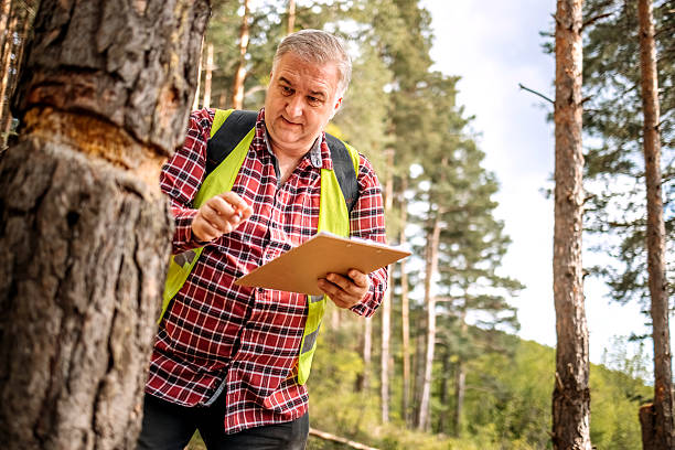 istock Scientist on mountain checking for environmental damage in nature 2212201317
