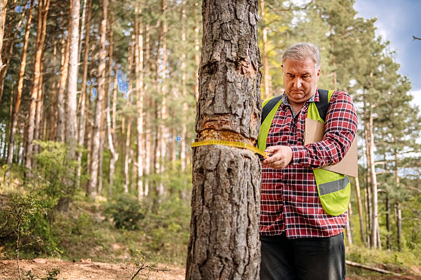istock Scientist on mountain checking for environmental damage in nature 2212201318