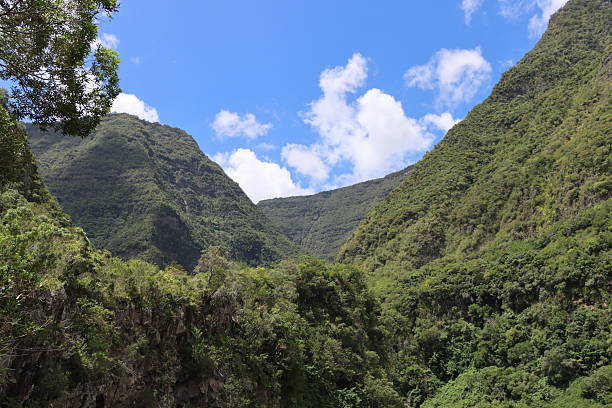 istock Verdant Mountain Valley Vista 2212201456