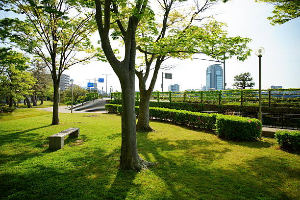 istock Beautiful Japanese cityscape with fresh greenery 2212202737