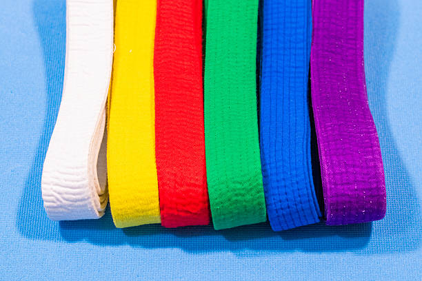 istock Colorful Martial Arts Belts on Blue Mat 2212206889