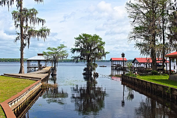 A tree reflecting in the water of a canal leading out to Lake Waccamaw.