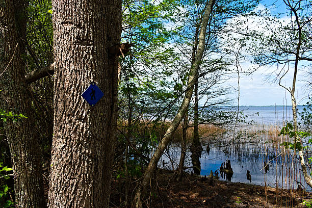Beautiful View of Lake from Trail