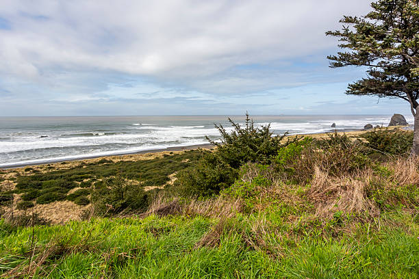 segment of the coastline in Oregon