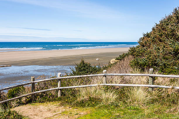 Driftwood Beach in Oregon Pacific Coast in low tide period