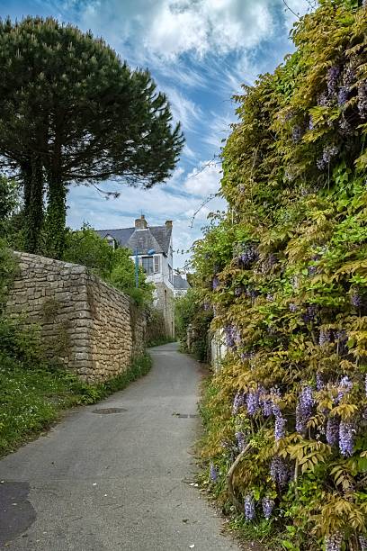 istock Brittany, Ile aux Moines island typical houses 2212212182