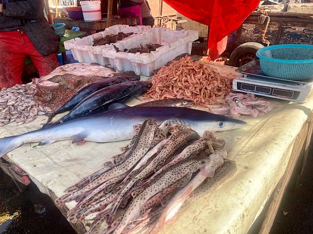 istock Fish and sea food 2212212192