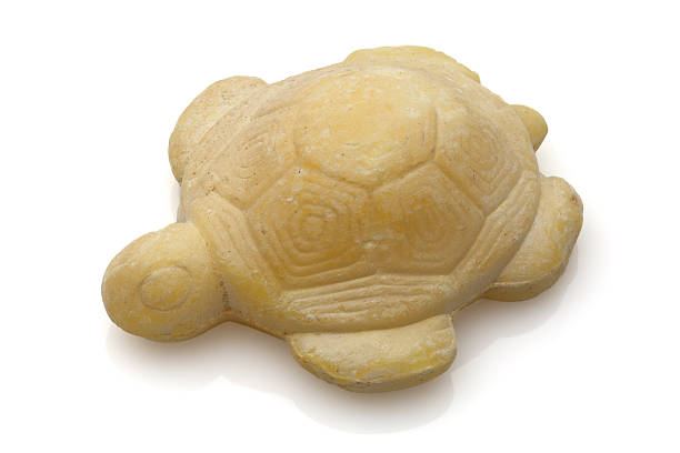 istock small yellowish wax turtle on white background 2212212258