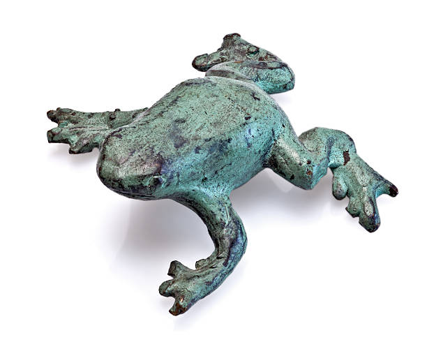 Frog Ceramics in japan.