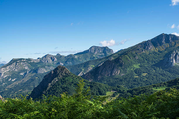 istock mountain landscape in summer 2212214731