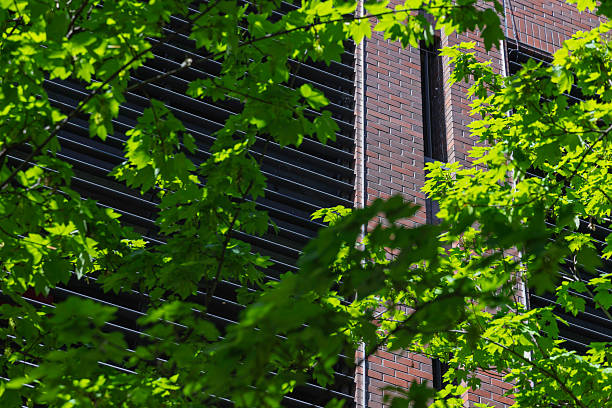 Bright green leaves surround a contemporary brick structure, highlighting a vibrant contrast between urban design and natural elements in the afternoon light.