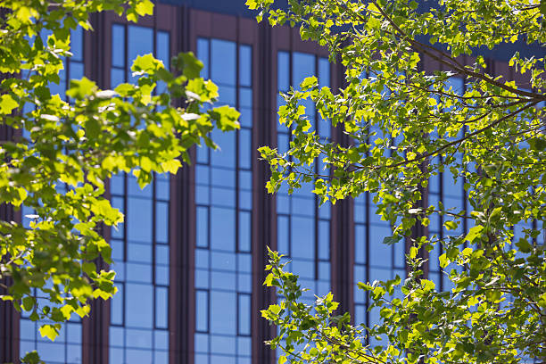 Lush green foliage surrounds a contemporary structure with large glass windows that reflect the clear blue sky on a sunny day in a bustling city.