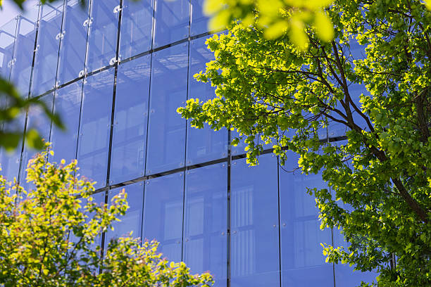 istock Modern building facade surrounded by greenery on a sunny day in an urban setting with clear blue skies contrasting glass and nature 2212215374
