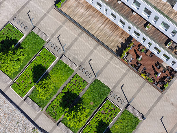 istock Urban garden design features lush greenery and wooden decking in bright daylight at a modern landscaped terrace 2212215564