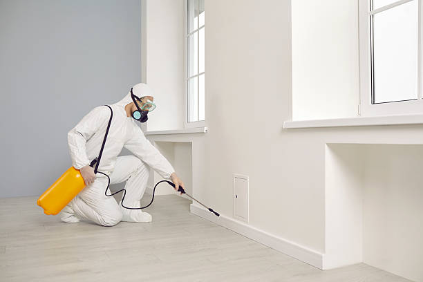 istock Pest control service worker in protective uniform spraying insecticide inside the house 2212216228