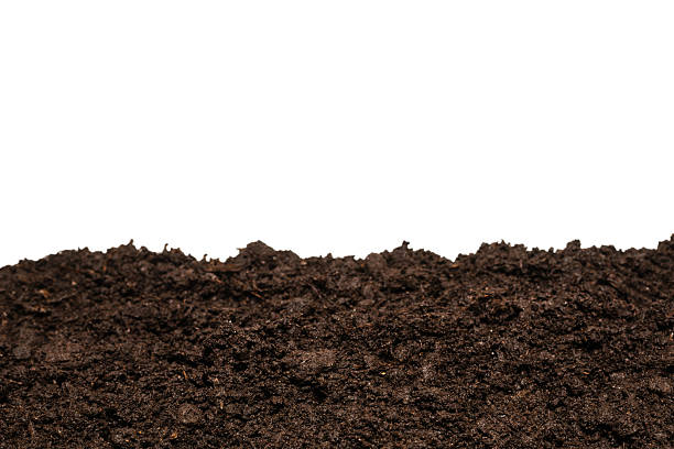 istock Black land for plant. 2212223265