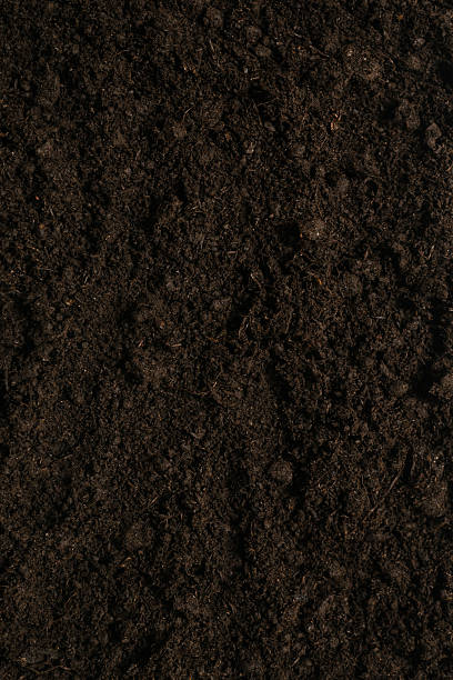 istock Black land for plant background. 2212223288