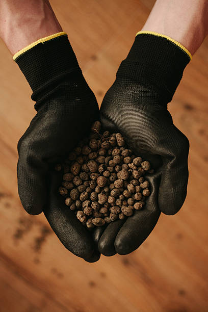 istock Hands in Protective Gloves Holding Granular Soil 2212226338