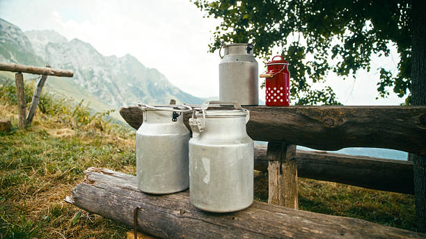 Old milk cans at cheese producing manufacturer
