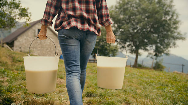 istock Walking with Milk Buckets on a Highland Farm 2212229614