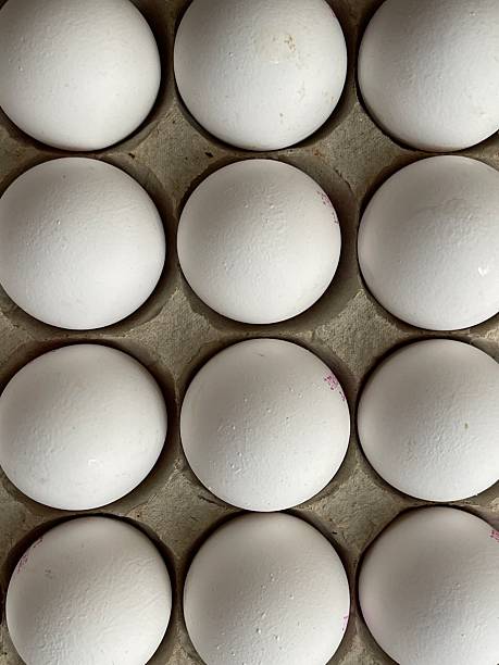 white eggs in egg carton viewed from above