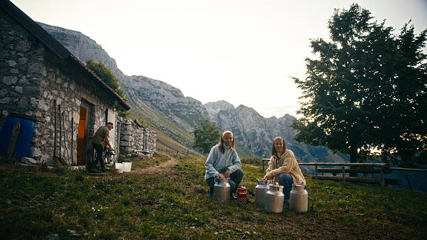 Two Women are Shown Kneeling Outdoors with Traditional Metal Milk Cans in the Foreground. in the Background,Near a Rustic Stone Farm Building,Another Man is Visible,Likely Engaged in Dairy Farm Chores. Set against a Mountain Landscape,This Image Depicts the Collaborative Work and Traditional Lifestyle of a Rural Dairy Farm in the Highlands