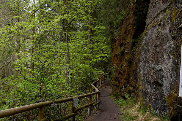 Pathway with railing in forest and sandstone cliffs, Bohemian Switzerland National Park