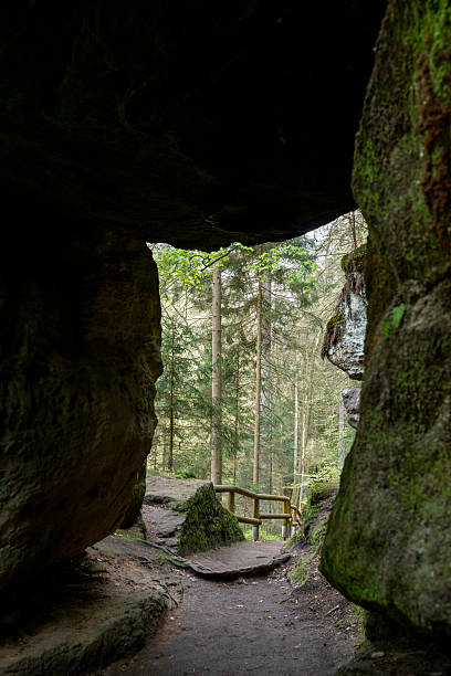 Pathway with railing in forest and sandstone cliffs, Bohemian Switzerland National Park