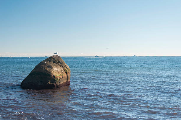 a lone gull on a large rock on the coast at Point Judith in narragansett Rhode Island.