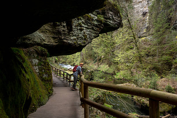 Hiker on pathway with railing in forest and sandstone formations, Bohemian Switzerland National Park