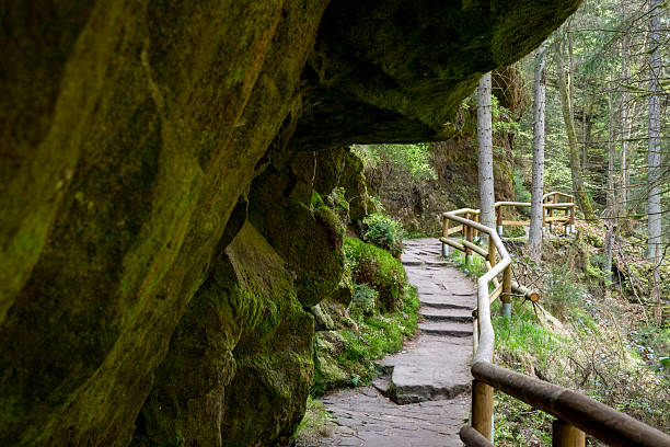 Pathway with railing in forest and sandstone cliffs, Bohemian Switzerland National Park