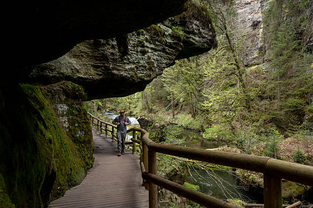 Hiker on pathway with railing in forest and sandstone formations, Bohemian Switzerland National Park