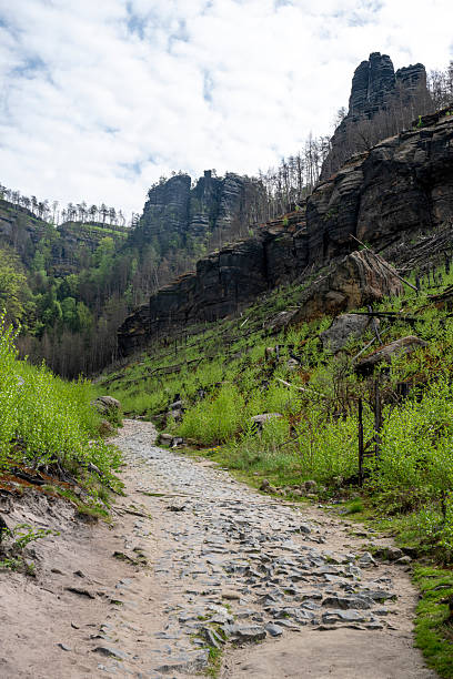 Pathway leading through sandstone cliffs and forest in springtime, Bohemian Switzerland National Park, Czech Republic