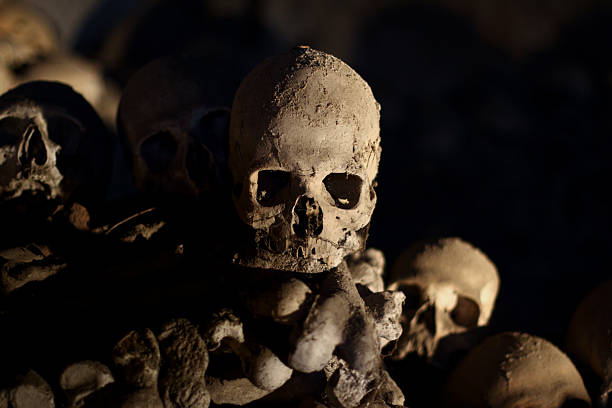 istock Skull in a cemetery against a black background 2212240519