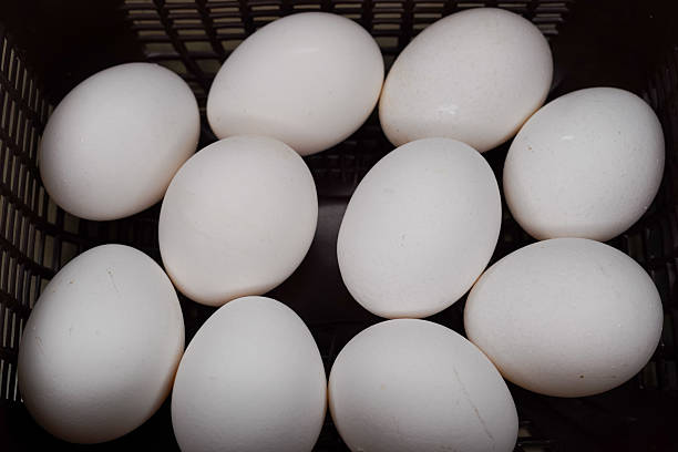 istock Basket full of white eggs, top view on white background. Happy Easter decorations, template for label, gift greeting card, advertising promotional banner or ticket price 2212240570