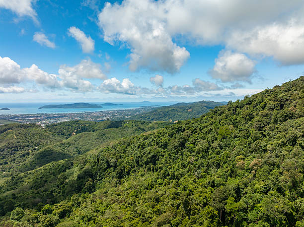istock High angle view mountains rainforest trees nature background 2212242317