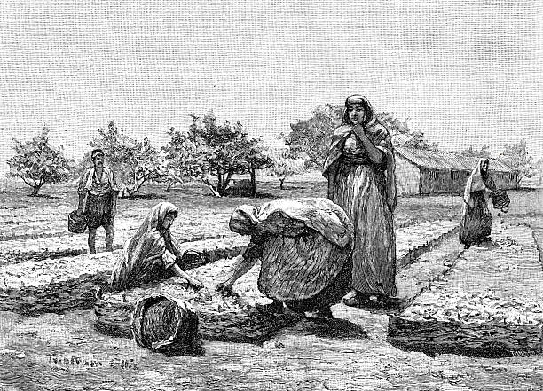 Illustration from 19th century.
