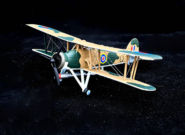 istock 1:72 Fairy Swordfish model 2212246142
