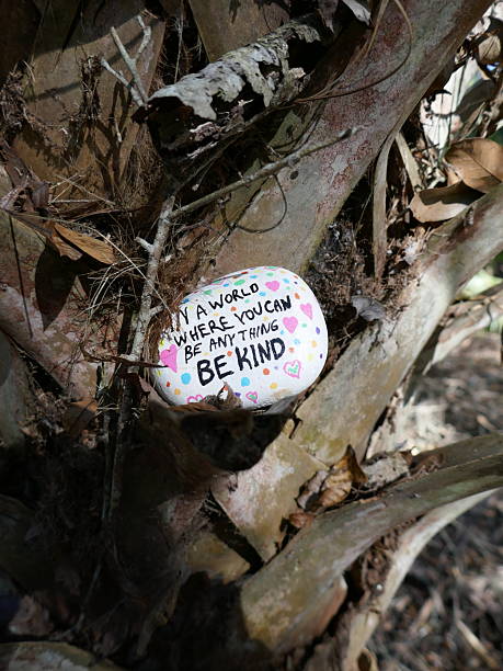 istock Old palm tree trunk with be kind kindness rock vertical photo 2212246212
