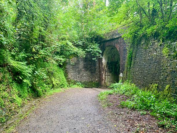 istock Old abandoned train bridge overgrown by nature 2212248945
