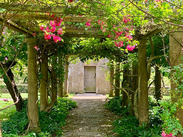 istock Pink rose archway and pergola 2212249970