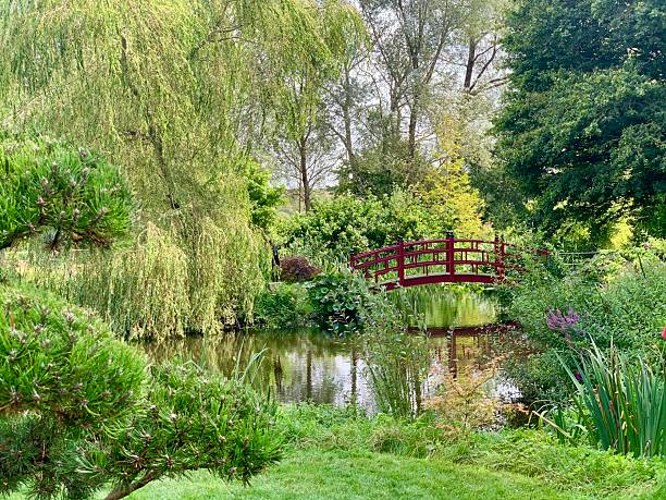 istock Ornamental bridge and garden around nature pond 2212250077