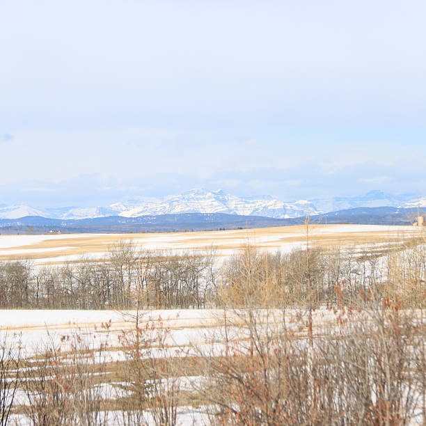 I toured the back roads of Sundry to find the wild horses, and shot pictures of the area surrounding me.