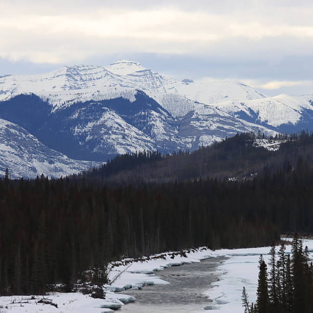 istock Cochrane and Sundry Alberta Scenery with wolves and wild horses. 2212253236